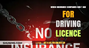 Insurance Companies That Don’t Require a Driving Licence: Your Guide