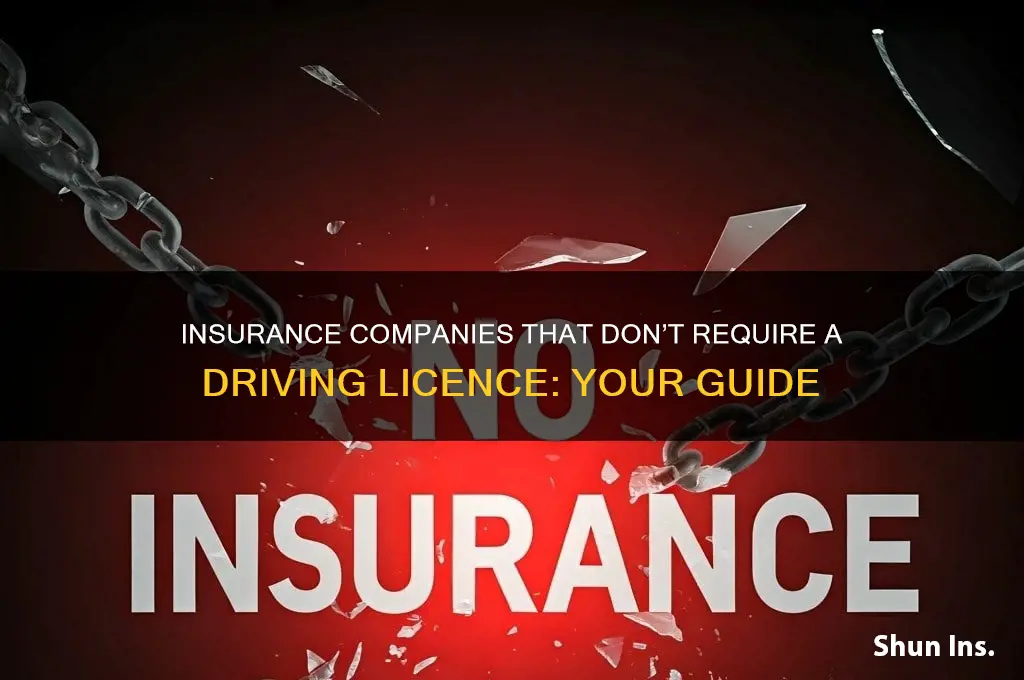 which insurance companies don t ask for driving licence