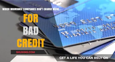 Insurance Companies That Ignore Bad Credit Scores for Premiums