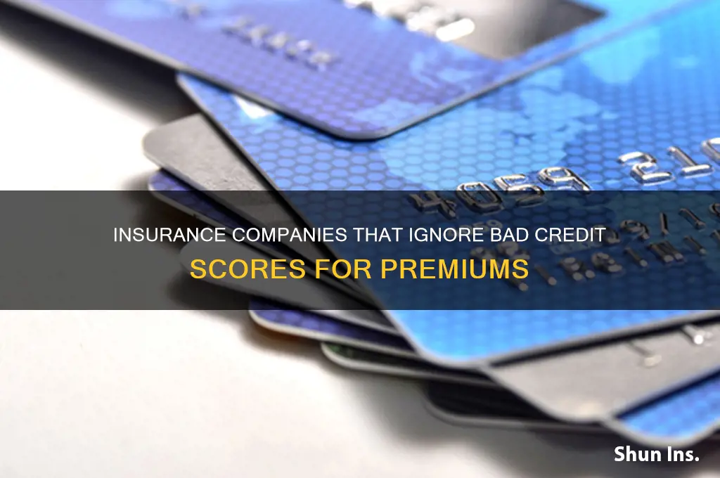 which insurance companies don