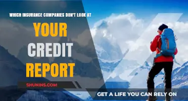 Insurance Companies That Ignore Your Credit Report: A Comprehensive Guide