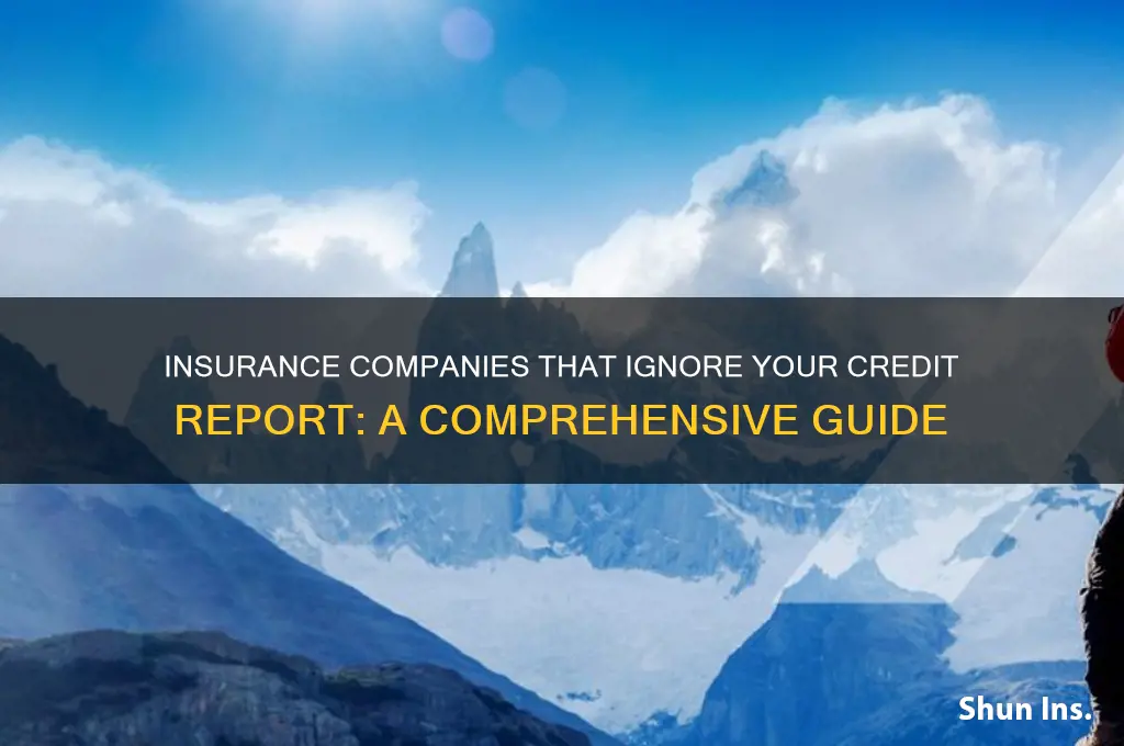 which insurance companies don