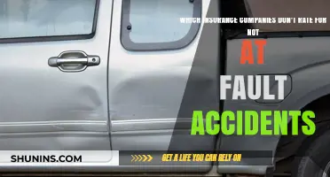 Insurance Companies That Don't Penalize for Not-At-Fault Accidents