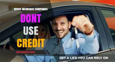 Insurance Companies That Don’t Use Credit Scores for Policies