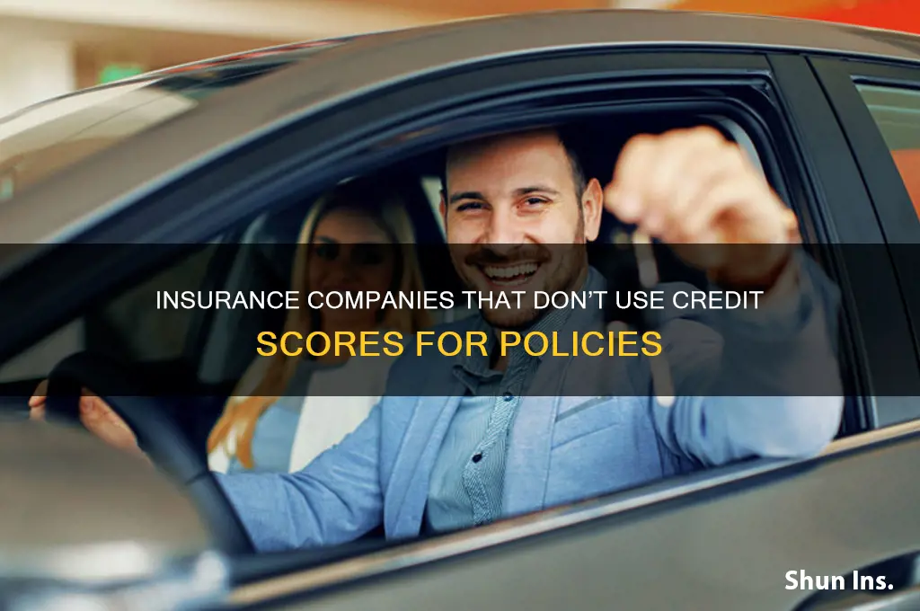 which insurance companies dont use credit