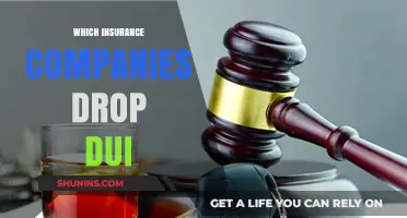 Which Insurance Companies Drop DUI Offenders: A Comprehensive Guide