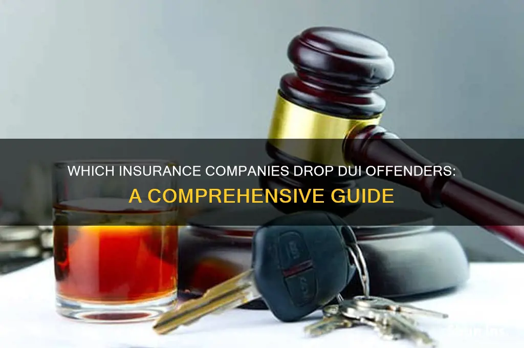 which insurance companies drop dui