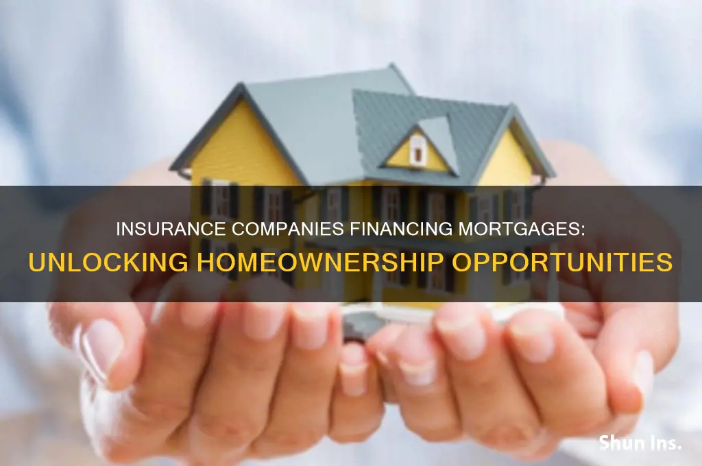 which insurance companies finace mortgage loans