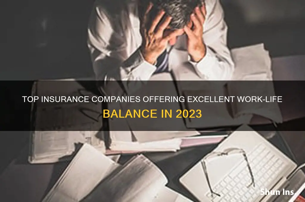 which insurance companies good work life balance