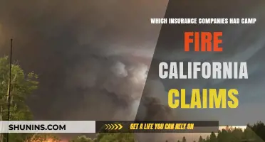 California Camp Fire Claims: Which Insurance Companies Handled Them?