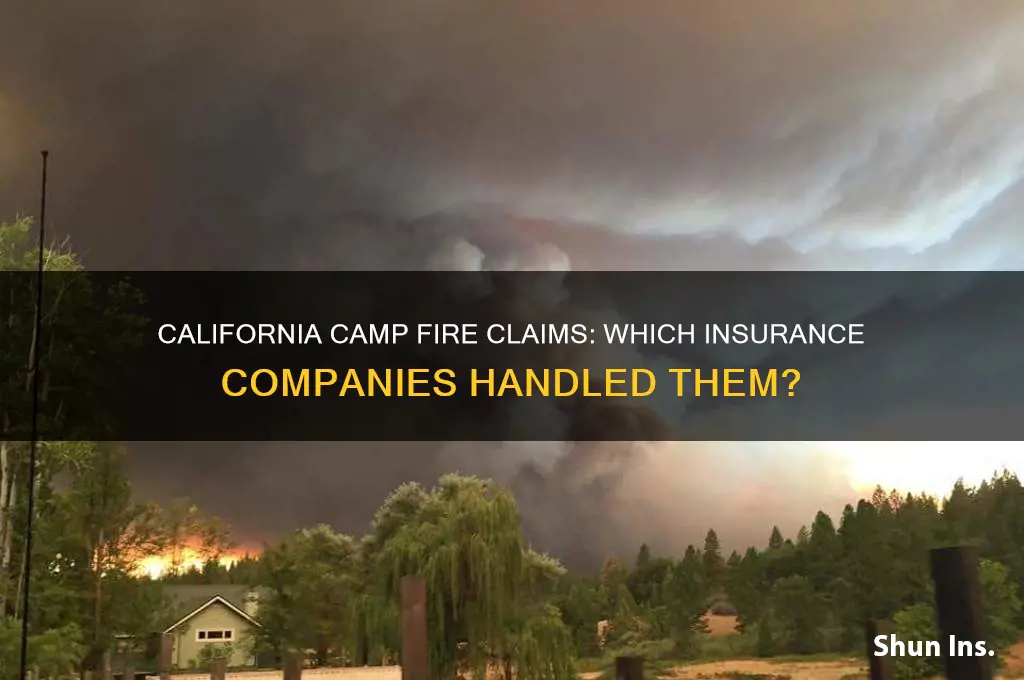 which insurance companies had camp fire california claims