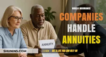 Top Insurance Providers Offering Annuity Plans: A Comprehensive Guide