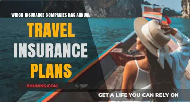 Top Annual Travel Insurance Plans: Best Companies for Year-Round Coverage