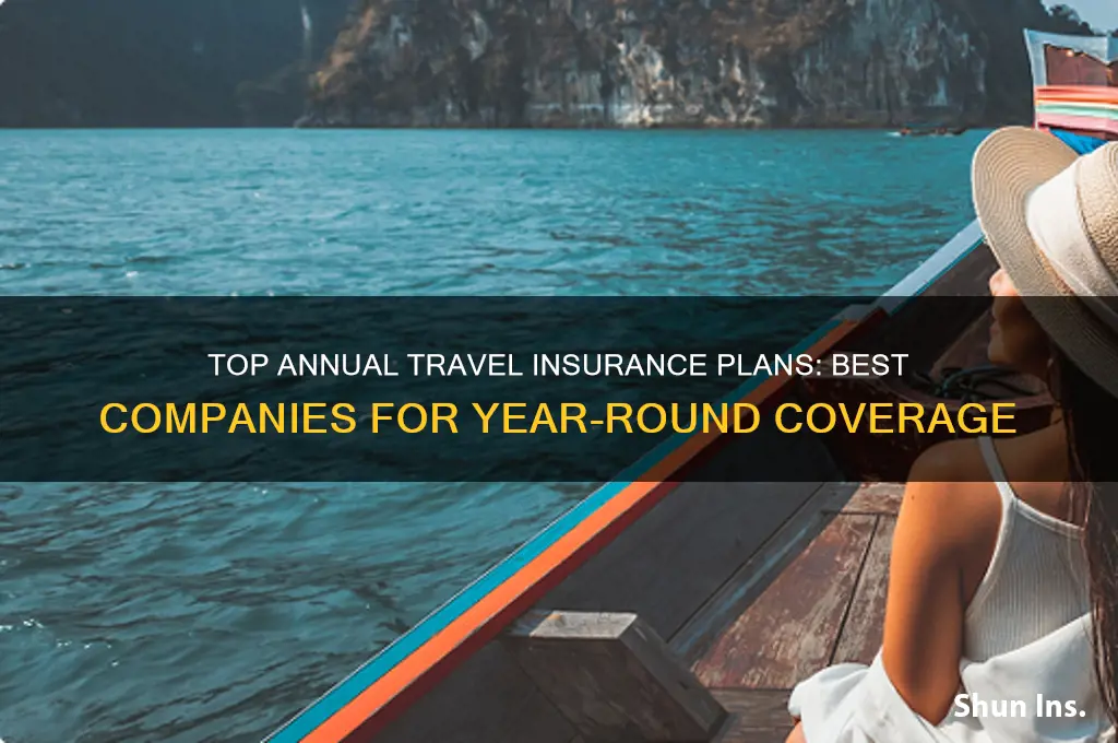 which insurance companies has annual travel insurance plans