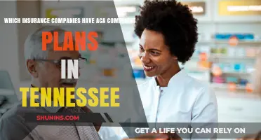 Tennessee ACA-Compliant Plans: Top Insurance Providers to Consider
