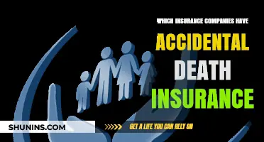 Top Accidental Death Insurance Providers: A Comprehensive Guide to Coverage