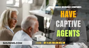 Captive Agents: Which Insurance Companies Exclusively Use Them?