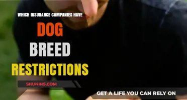 Dog Breed Restrictions: Which Insurance Companies Limit Coverage?