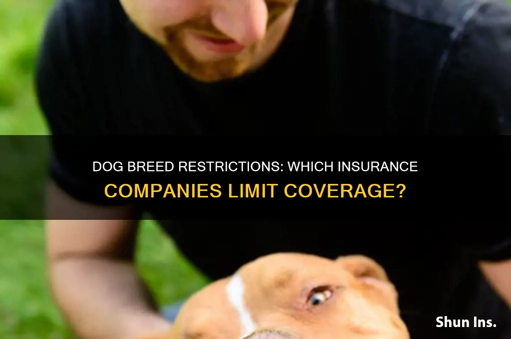 which insurance companies have dog breed restrictions