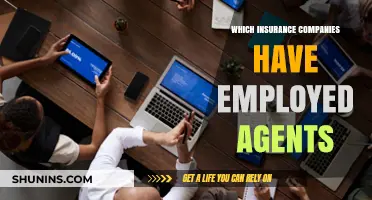Insurance Companies with Employed Agents: A Comprehensive Overview