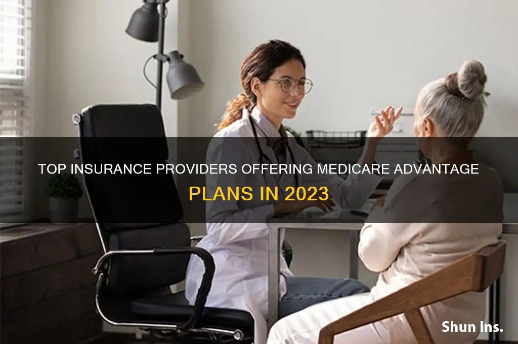 which insurance companies have medicare advantage plans