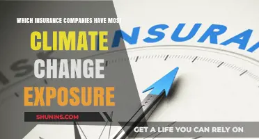 Climate Risk: Which Insurers Face the Highest Exposure?