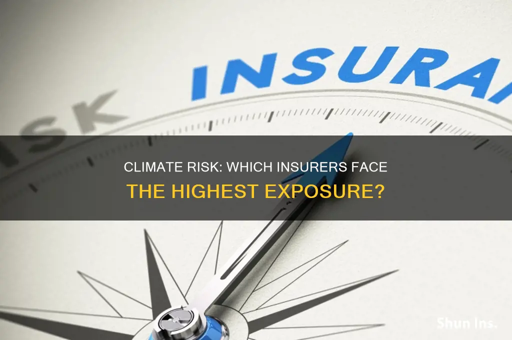 which insurance companies have most climate change exposure