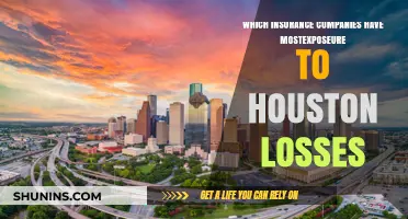 Houston Losses: Which Insurers Face the Highest Exposure?