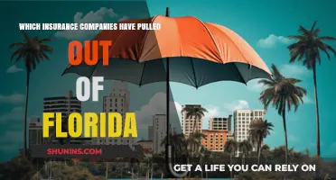 Florida Insurance Exodus: Companies Withdrawing from the Sunshine State