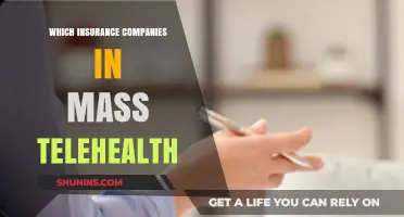 Top Mass Telehealth Insurance Providers: Coverage and Benefits Explained