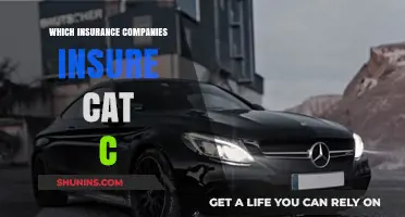 Cat C Insurance: Which Companies Cover Category C Vehicles?