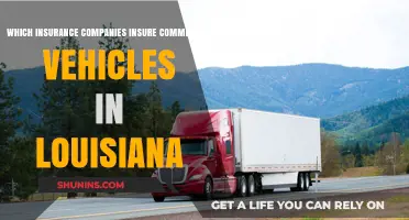 Top Louisiana Insurers for Commercial Vehicles: A Comprehensive Guide