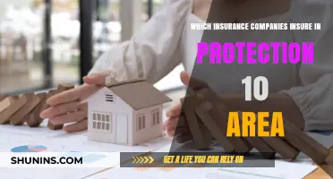 Top Insurance Providers Offering Coverage in Protection 10 Zones