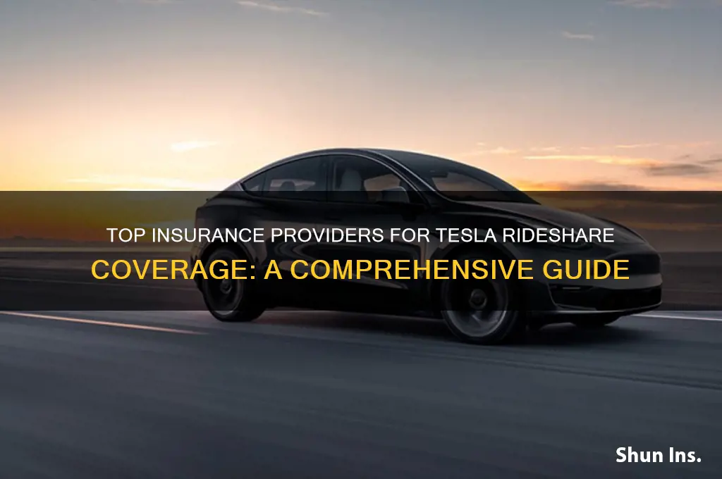 which insurance companies insure tesla for ridesgare