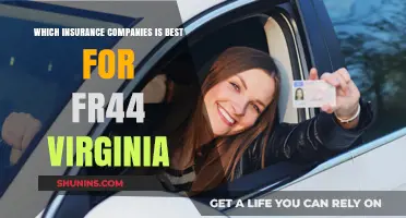Top FR44 Insurance Providers in Virginia: A Comprehensive Guide