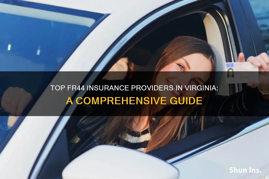 which insurance companies is best for fr44 virginia
