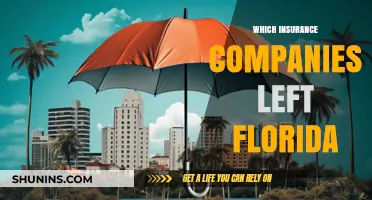 Florida's Insurance Exodus: Which Companies Are Leaving the State?