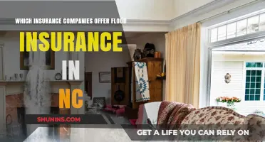 Top Flood Insurance Providers in North Carolina: Your Comprehensive Guide