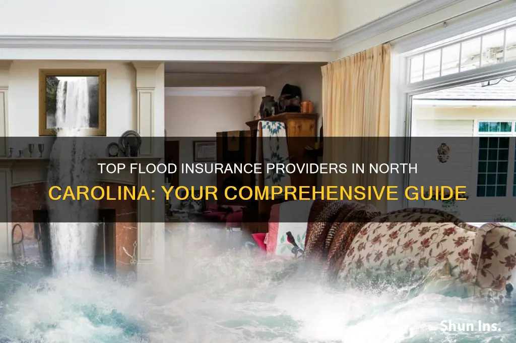 which insurance companies offer flood insurance in nc