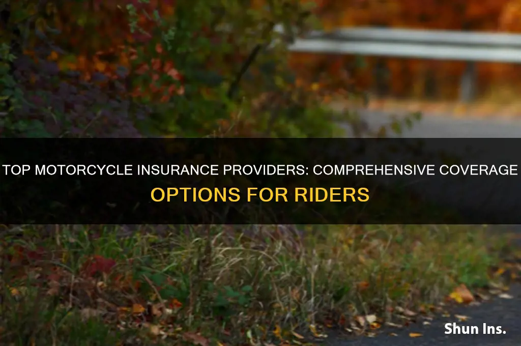 which insurance companies offer good motorcycle coverage