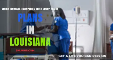Louisiana Group Health Plans: Top Insurance Providers to Consider