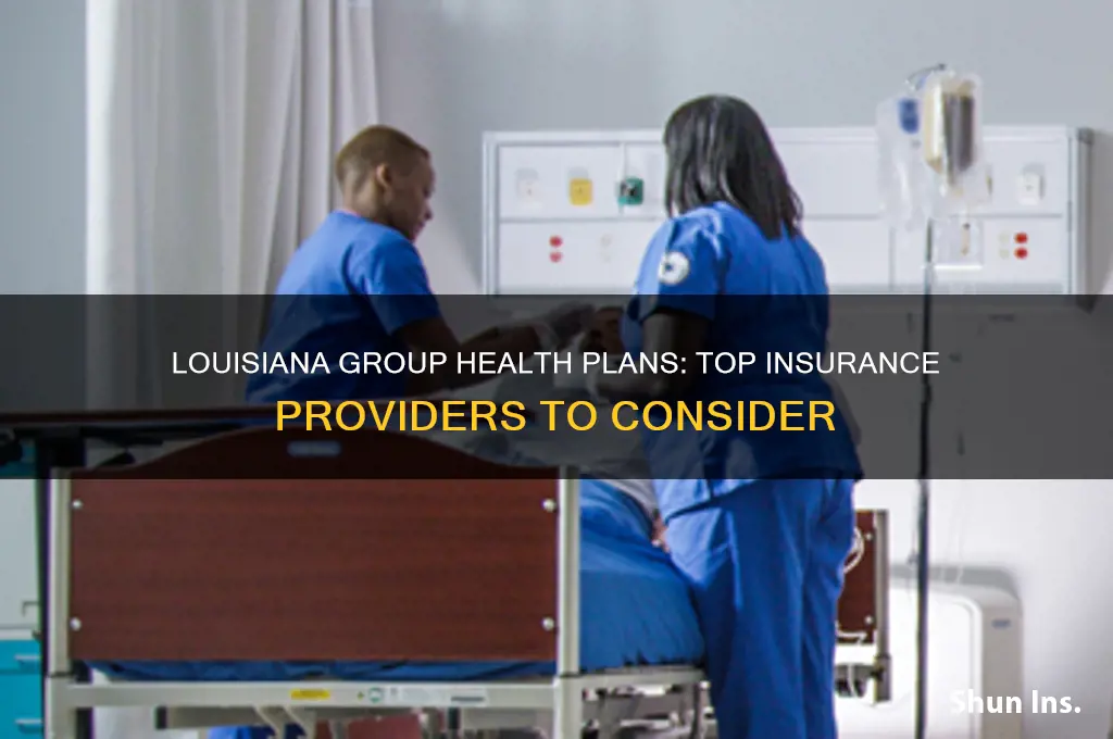which insurance companies offer group health plans in louisiana