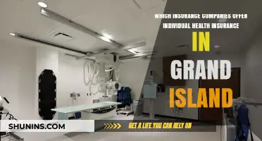 Top Health Insurance Providers for Individual Plans in Grand Island