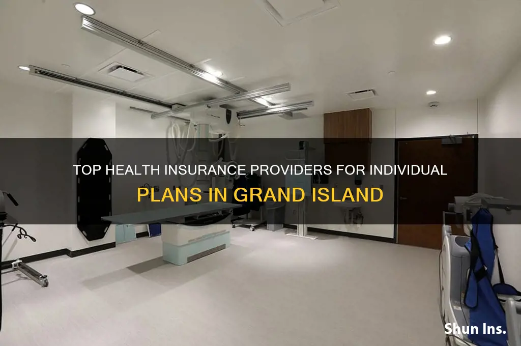which insurance companies offer individual health insurance in grand island