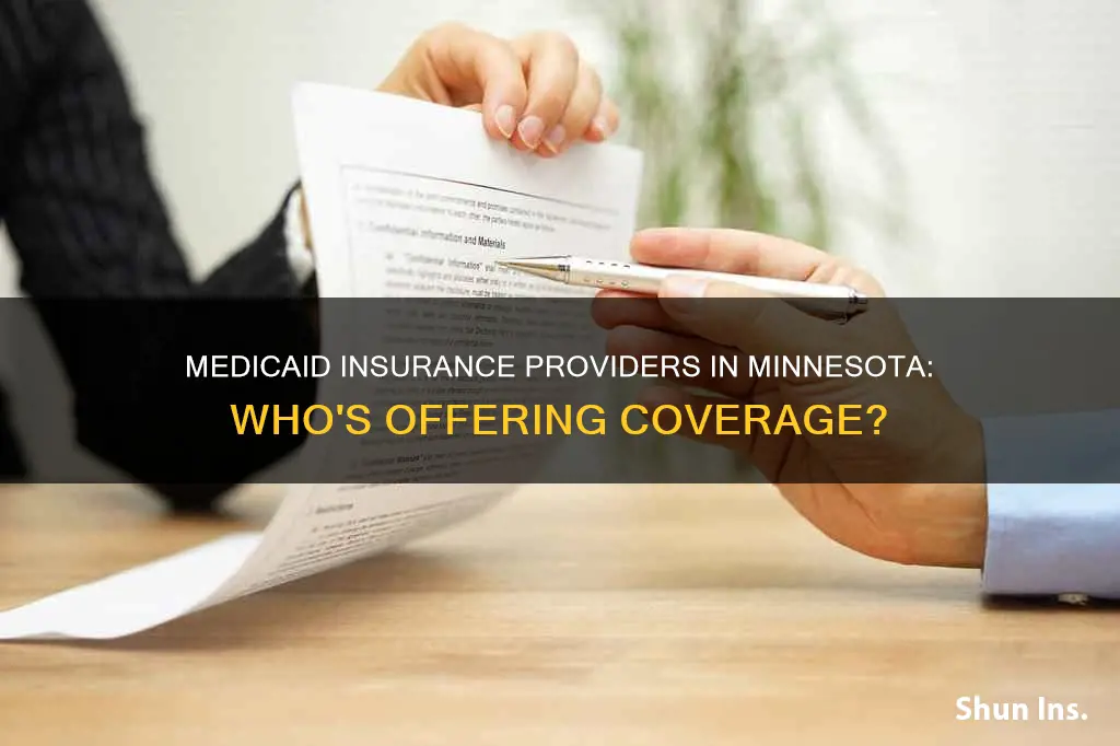 which insurance companies offer medicaid in minnesota
