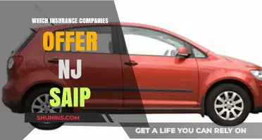 NJ SAIP Providers: Top Insurance Companies Offering Affordable Coverage