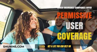Permissive User Coverage: Which Insurance Companies Offer This Protection?