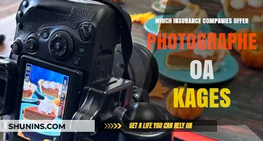 Top Insurance Providers Offering Photographer Coverage and Protection Plans