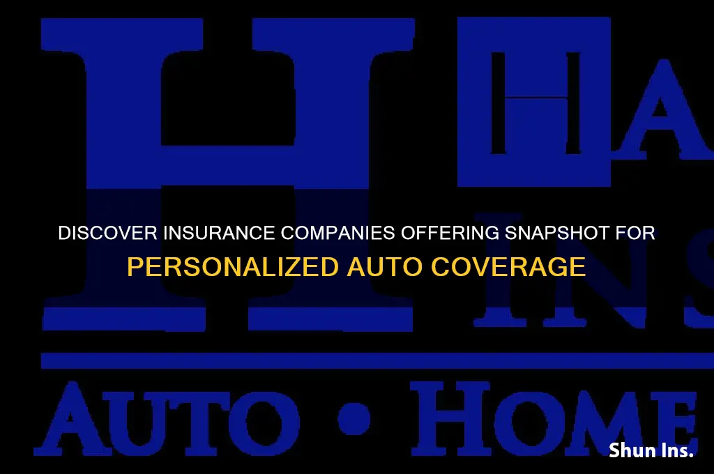 which insurance companies offer snapshot