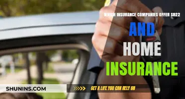 Top SR22 and Home Insurance Providers: A Comprehensive Guide